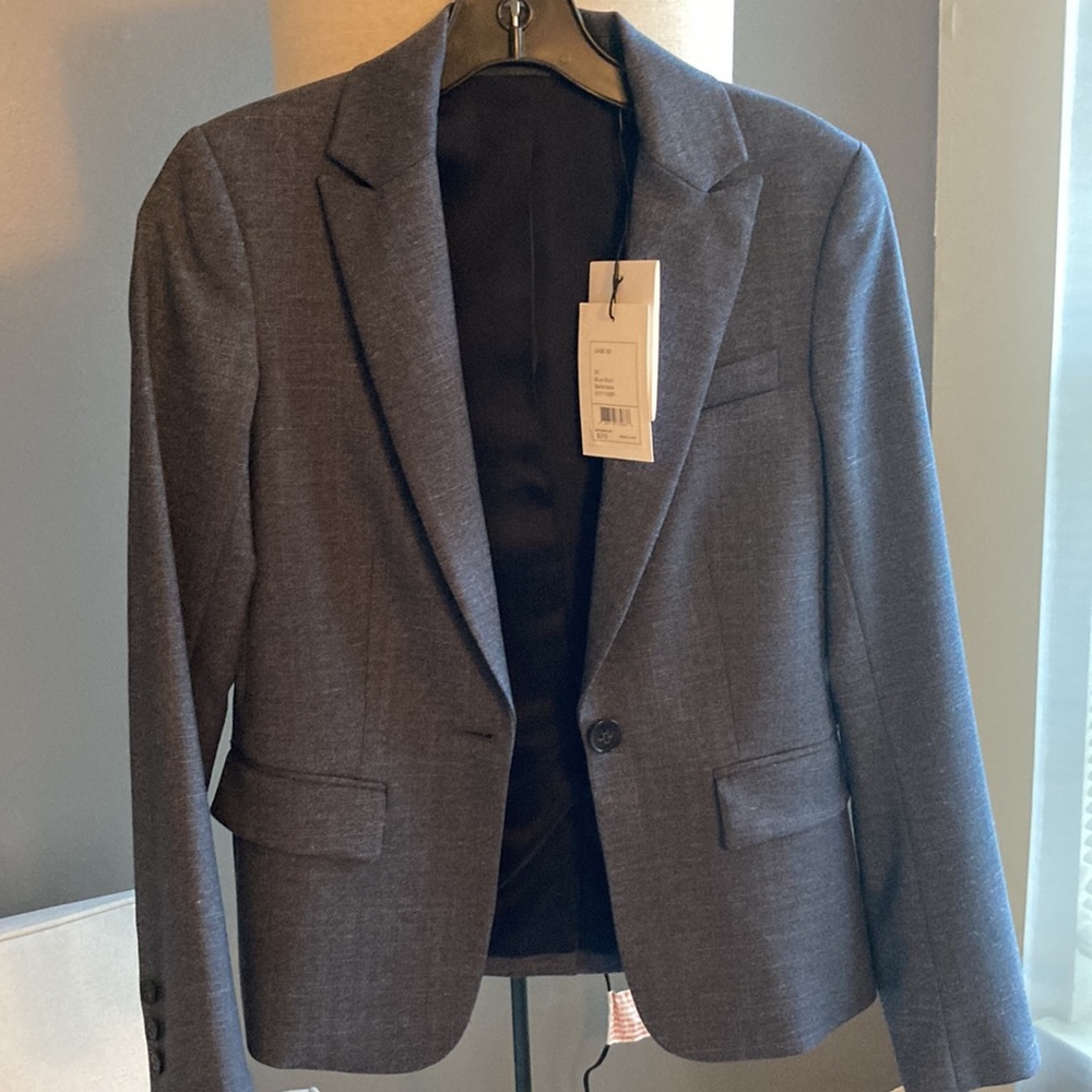 Theory Blue Multi Suit